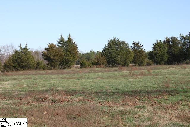 0 Burts Road Clinton, SC 29325 - Photo 4 of 17 Gallery Image 4