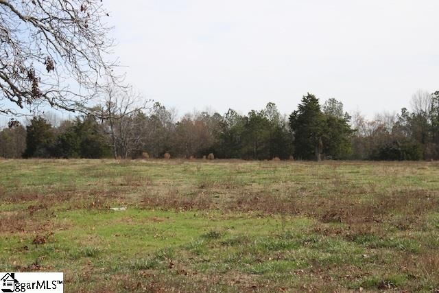 0 Burts Road Clinton, SC 29325 - Photo 5 of 17 Gallery Image 5