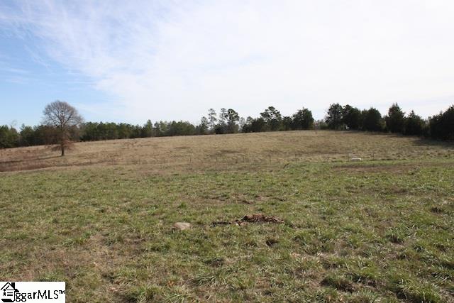 0 Burts Road Clinton, SC 29325 - Photo 8 of 17 Gallery Image 8