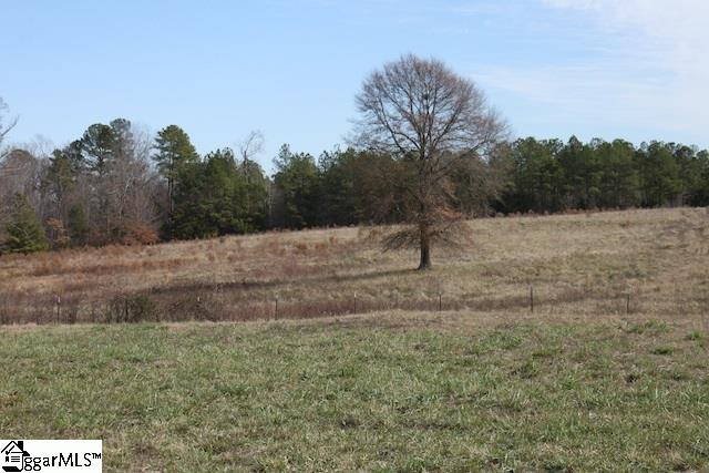 0 Burts Road Clinton, SC 29325 - Photo 9 of 17 Gallery Image 9