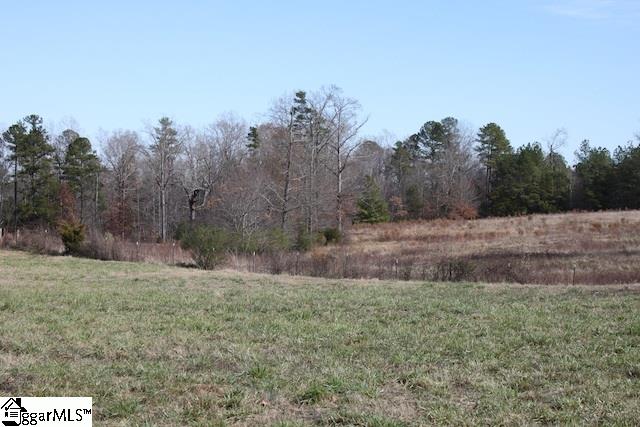 0 Burts Road Clinton, SC 29325 - Photo 10 of 17 Gallery Image 10