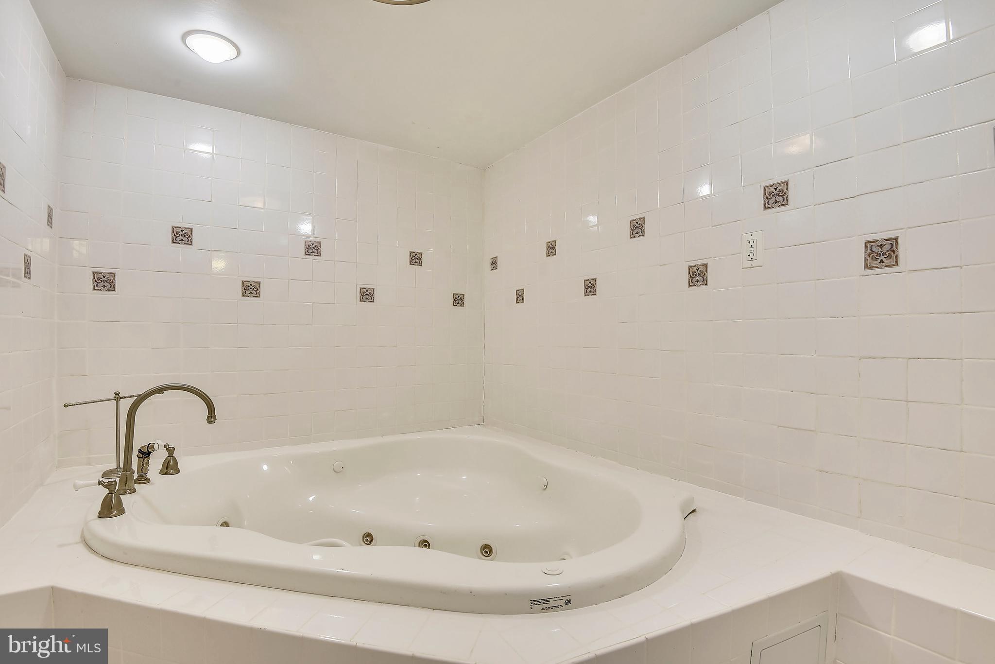 911 Gabel Street Silver Spring, MD 20901 - Photo 16 of 26 Lower level soaking tub