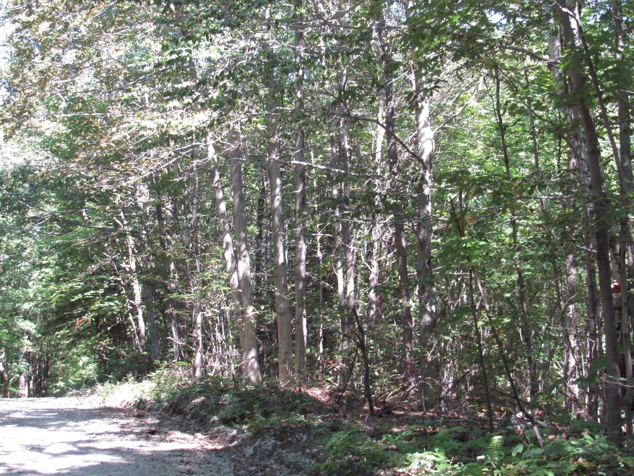 65 Round Hill Road Chester, MA 01011 - Photo 5 of 7 Gallery Image 5