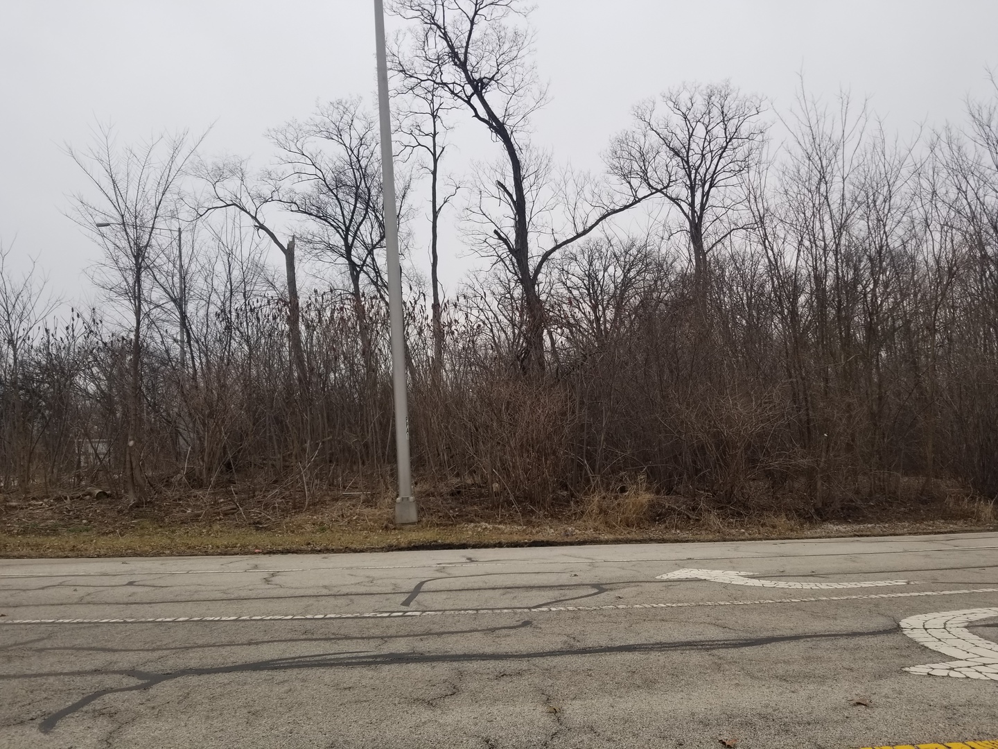 1 St Charles Road West Chicago, IL 60185 - Photo 3 of 6