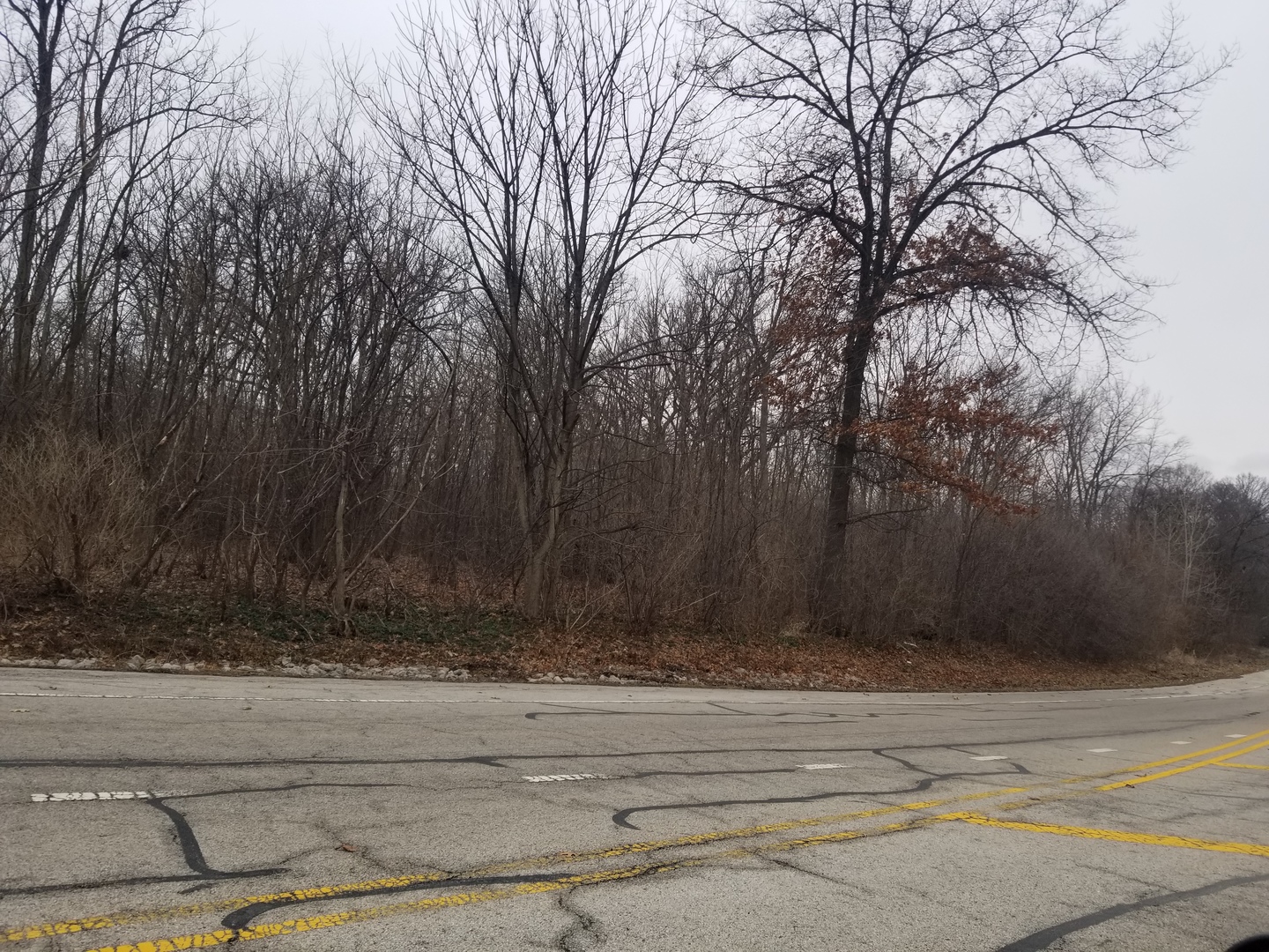 1 St Charles Road West Chicago, IL 60185 - Photo 4 of 6