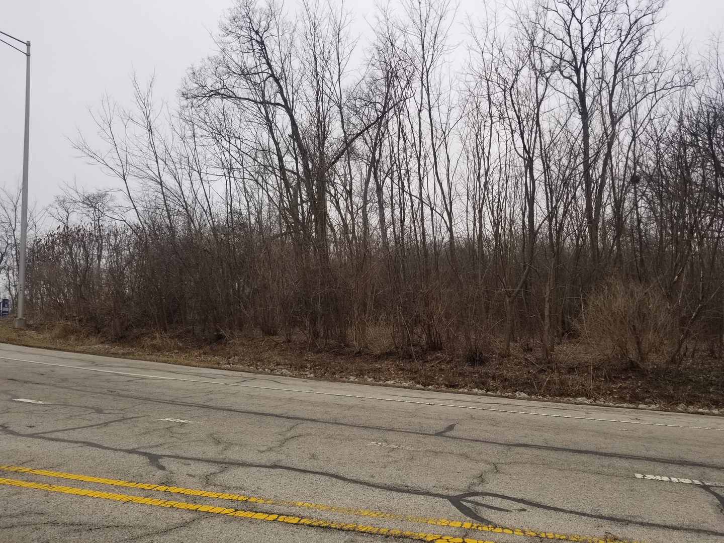 1 St Charles Road West Chicago, IL 60185 - Photo 5 of 6