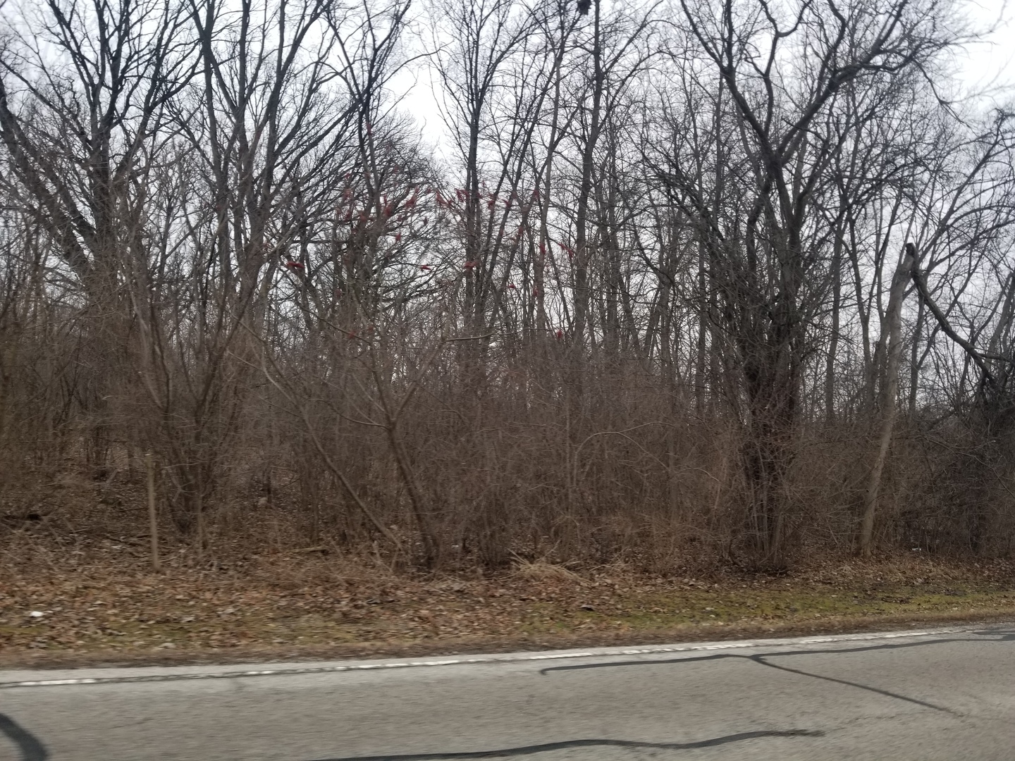 1 St Charles Road West Chicago, IL 60185 - Photo 6 of 6