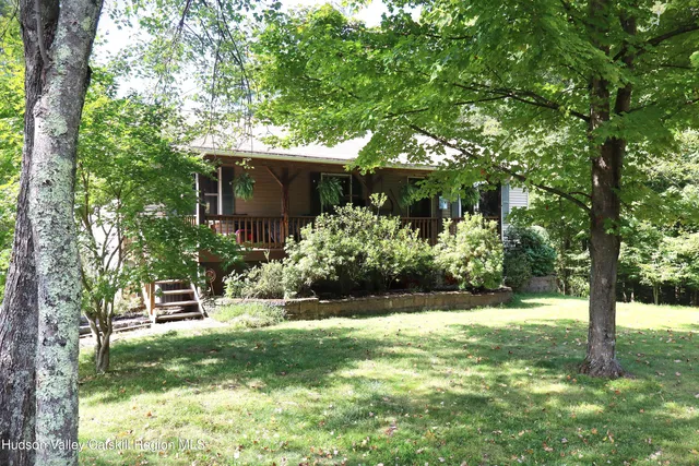 a view of a yard with plants and large trees