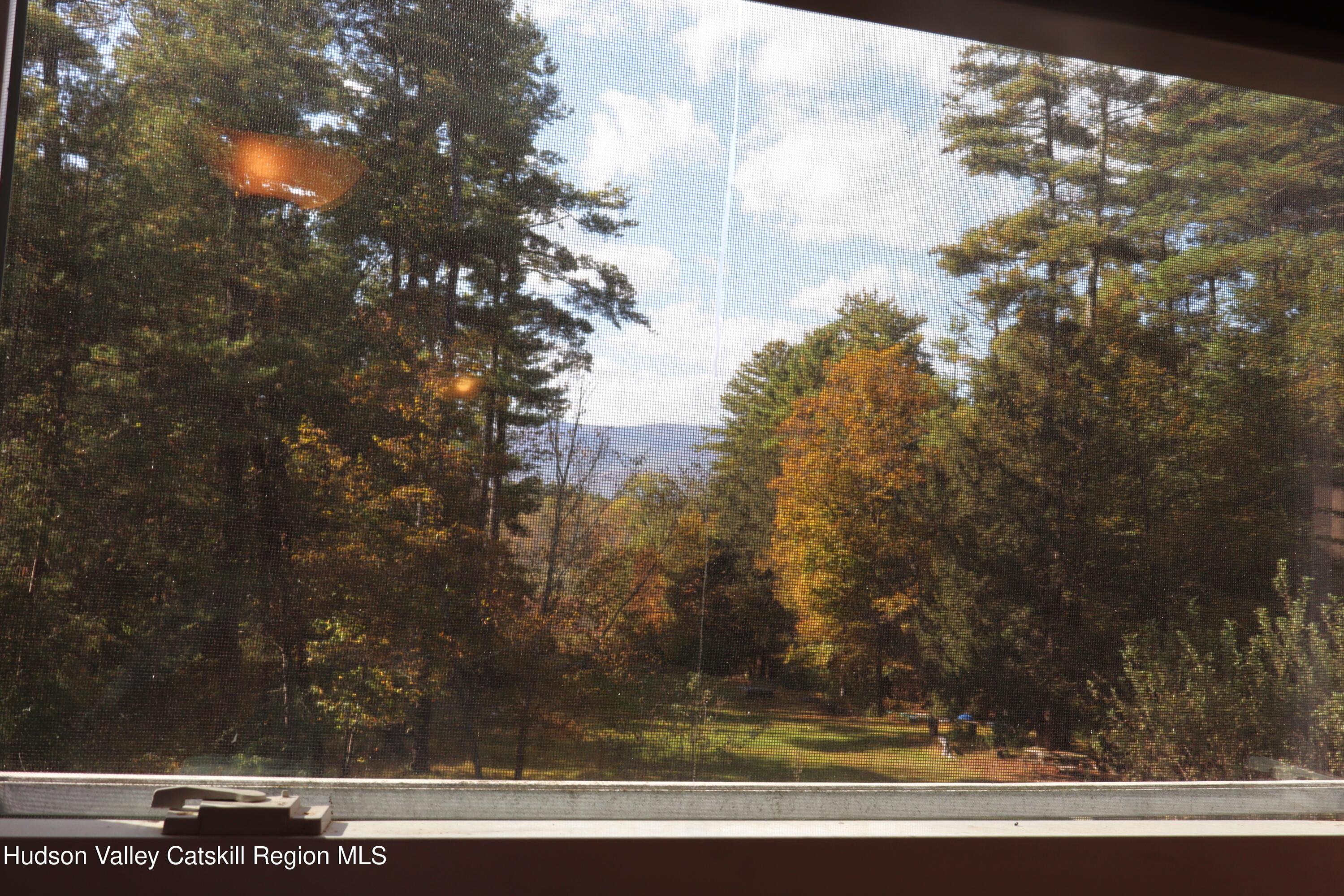 132 Dutchtown Road Saugerties, NY 12477 - Photo 24 of 45 a view of a yard