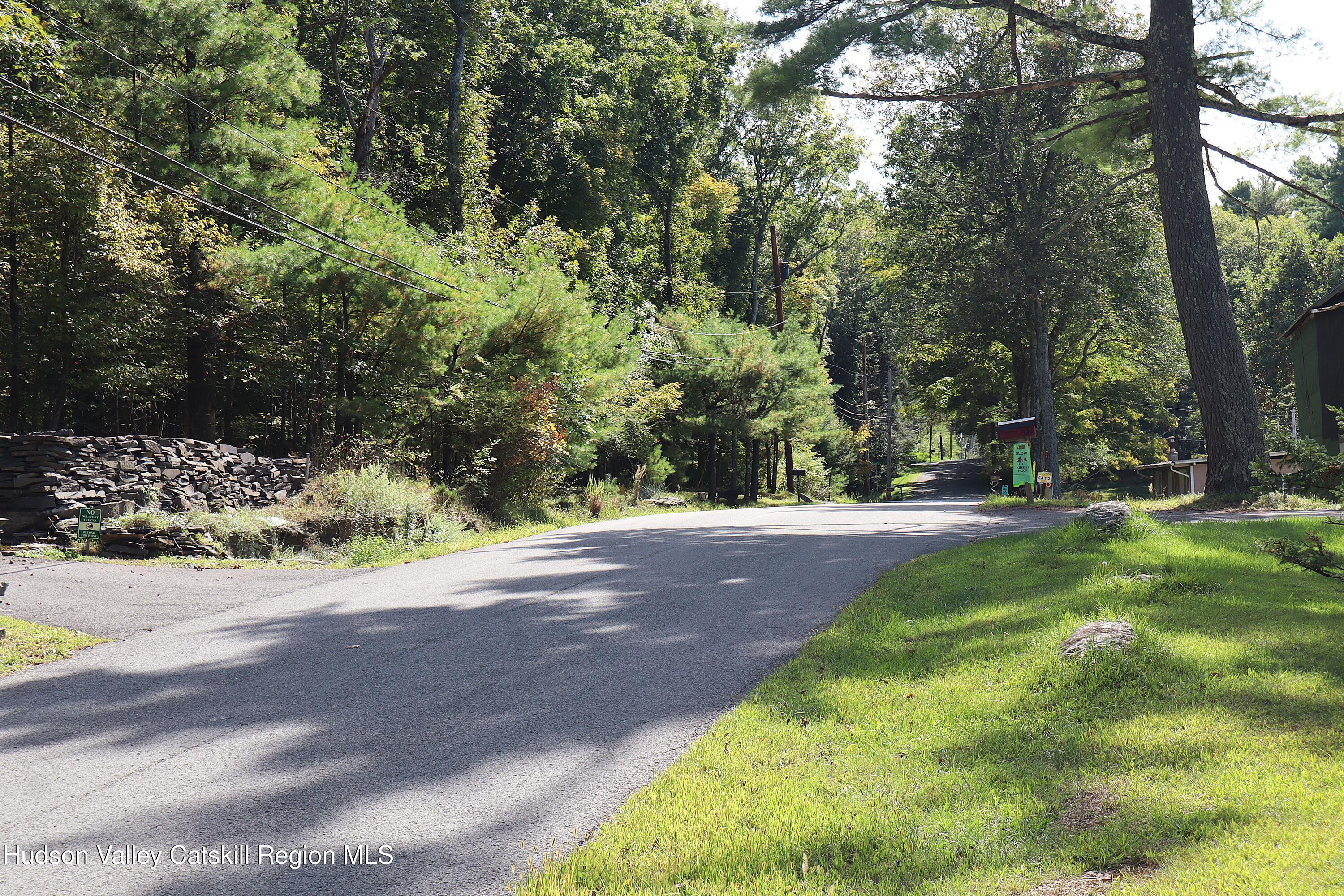 132 Dutchtown Road Saugerties, NY 12477 - Photo 30 of 45 a view of a yard with plants and trees