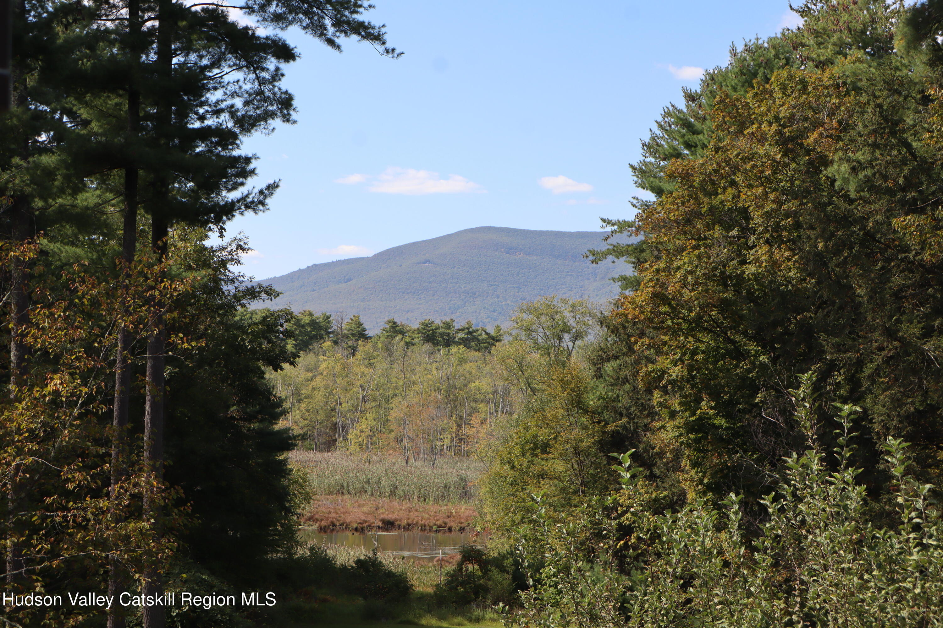 132 Dutchtown Road Saugerties, NY 12477 - Photo 4 of 45 a view of a lake in middle of the forest