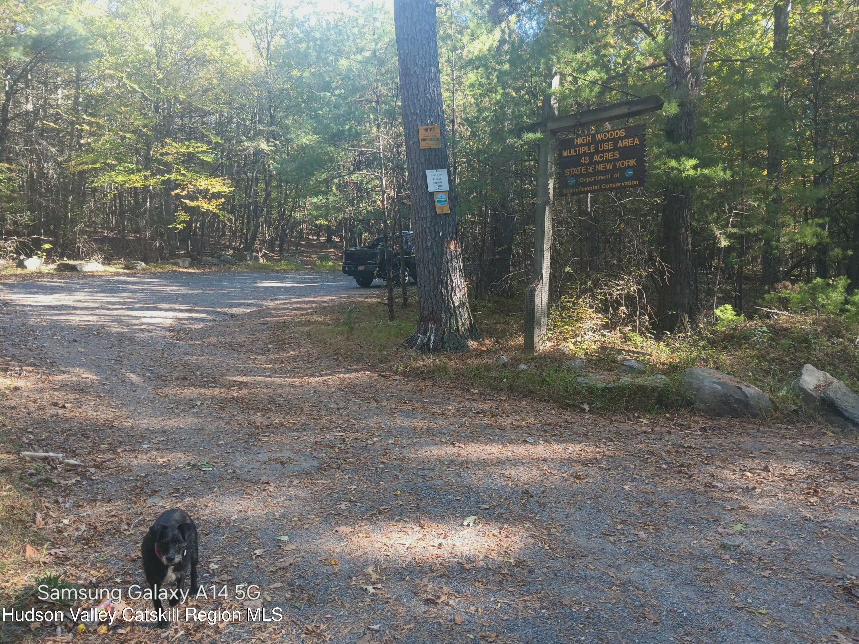 132 Dutchtown Road Saugerties, NY 12477 - Photo 41 of 45 a view of a yard with a fountain