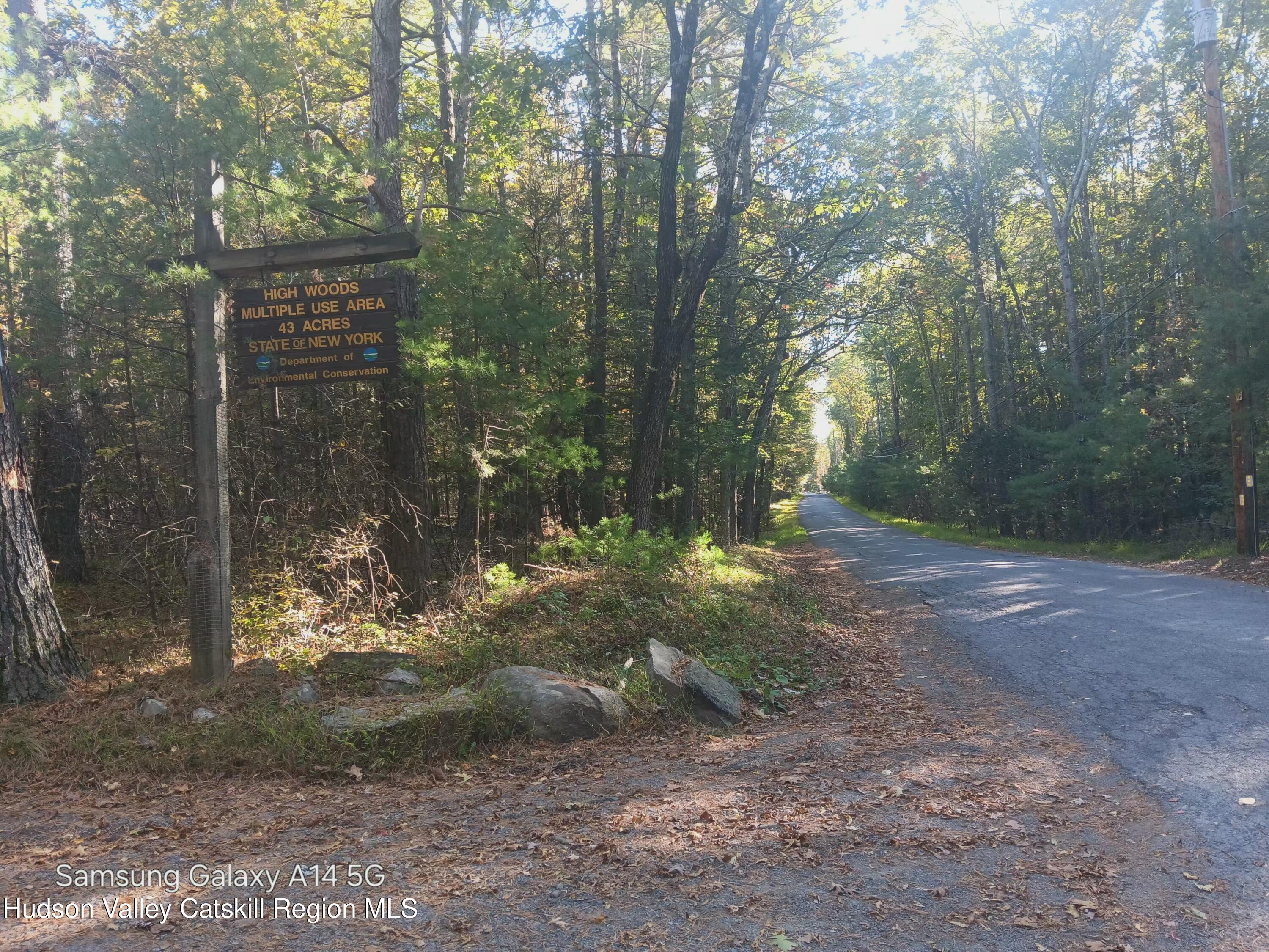 132 Dutchtown Road Saugerties, NY 12477 - Photo 42 of 45 a view of a forest filled with trees