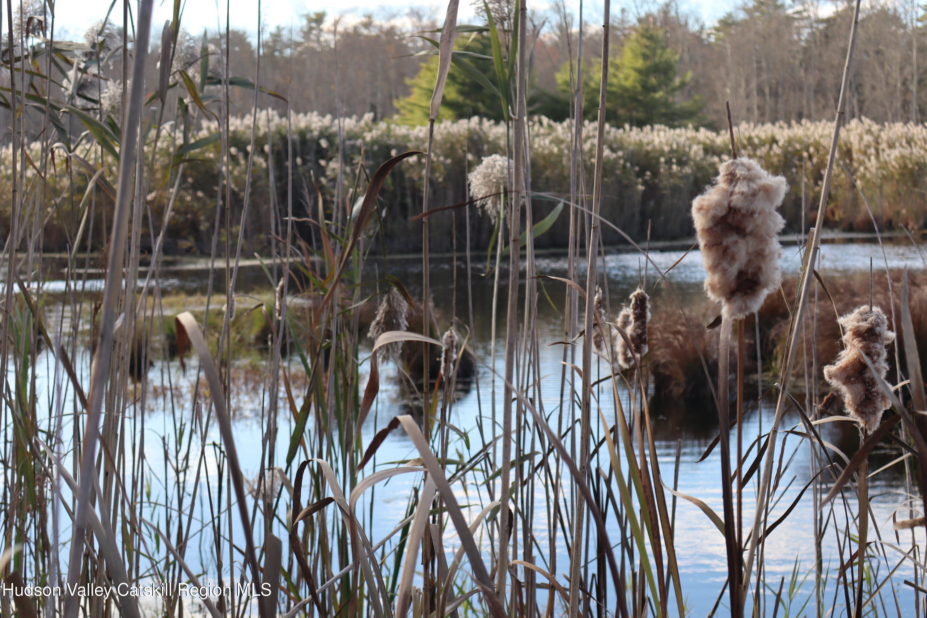 132 Dutchtown Road Saugerties, NY 12477 - Photo 43 of 45 a view of a house with a tree