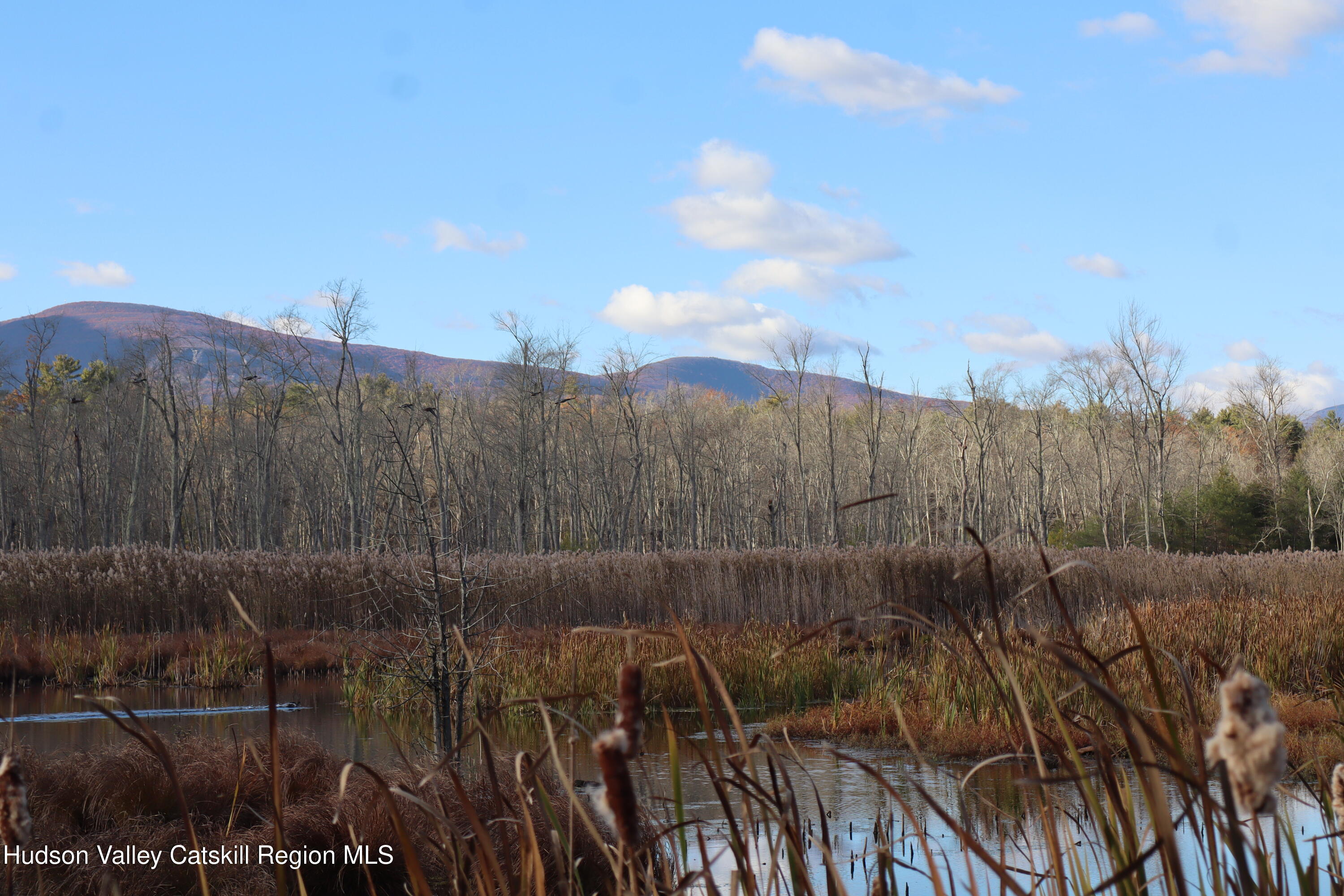 132 Dutchtown Road Saugerties, NY 12477 - Photo 45 of 45 a view of a backyard