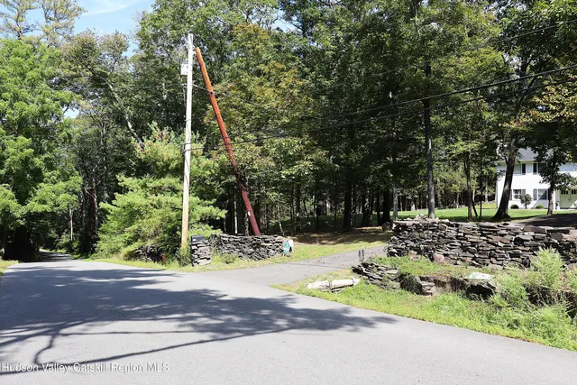 a view of a park with plants and trees