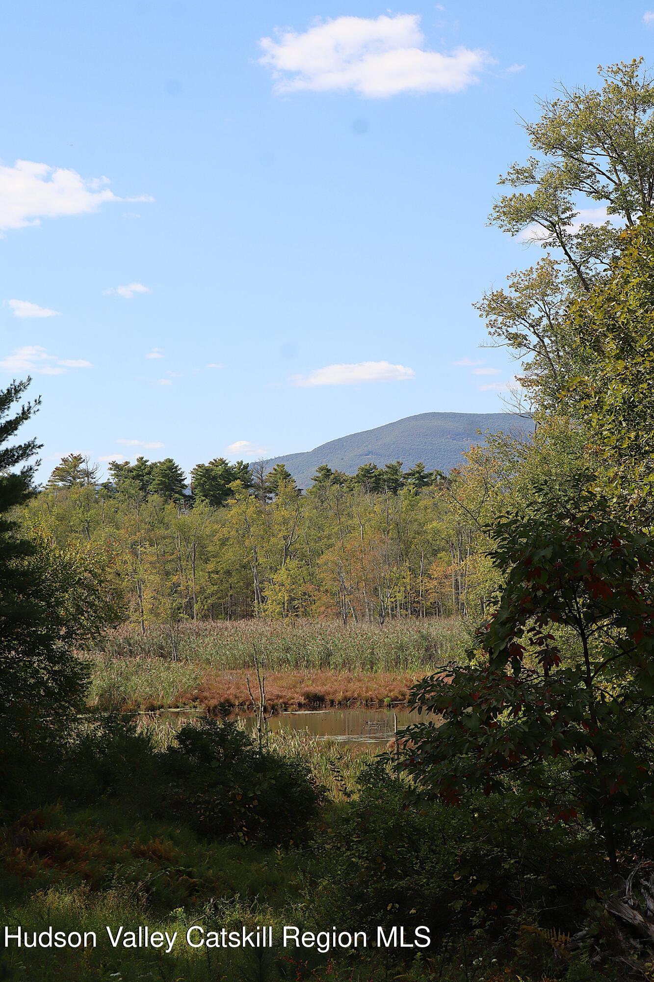132 Dutchtown Road Saugerties, NY 12477 - Photo 6 of 45 a view of ocean