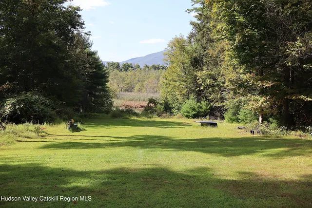 a view of a grassy field with an trees