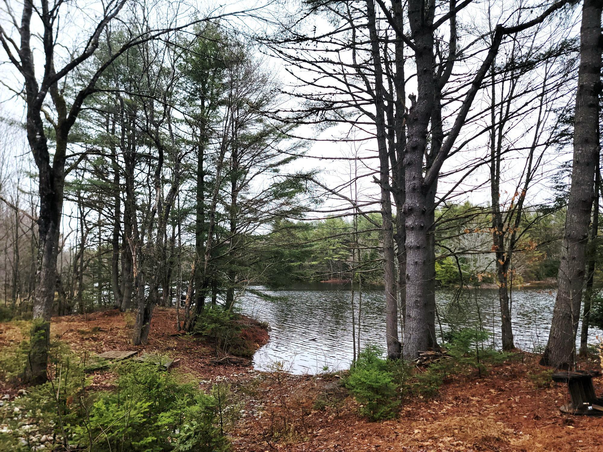 217 Frost Mill Road Mariaville, ME 04605 - Photo 11 of 32 Graham Lake