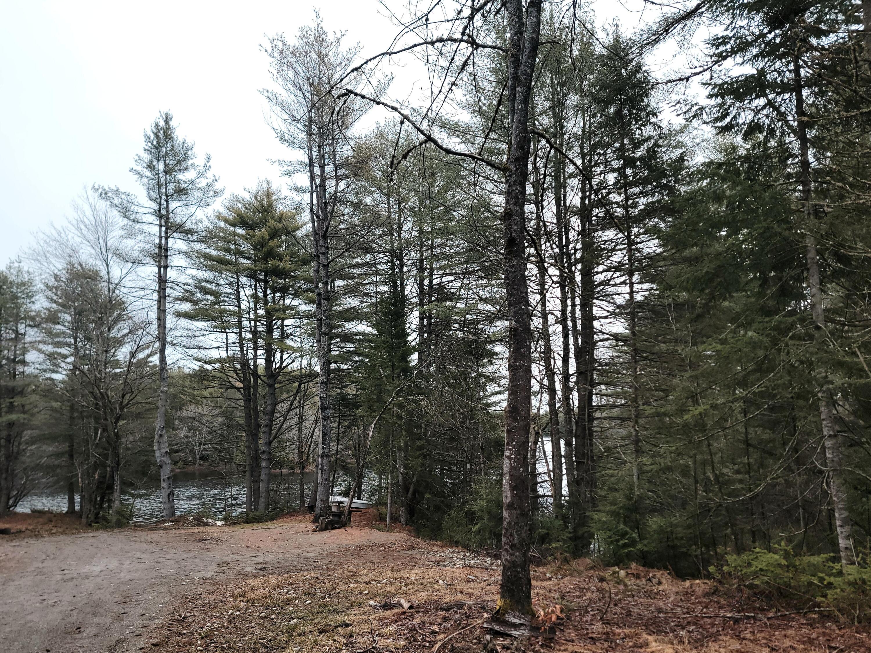 217 Frost Mill Road Mariaville, ME 04605 - Photo 13 of 32 217 Frost Mill