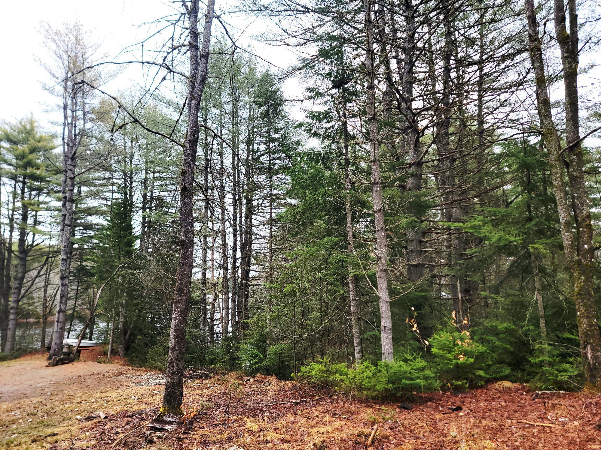 217 Frost Mill Road Mariaville, ME 04605 - Photo 15 of 32 217 Frost Mill