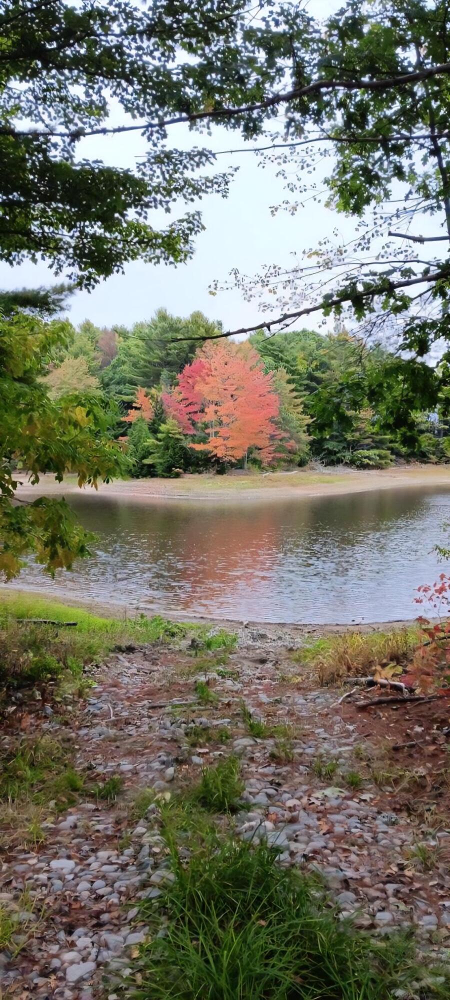 217 Frost Mill Road Mariaville, ME 04605 - Photo 24 of 32 Graham Lake