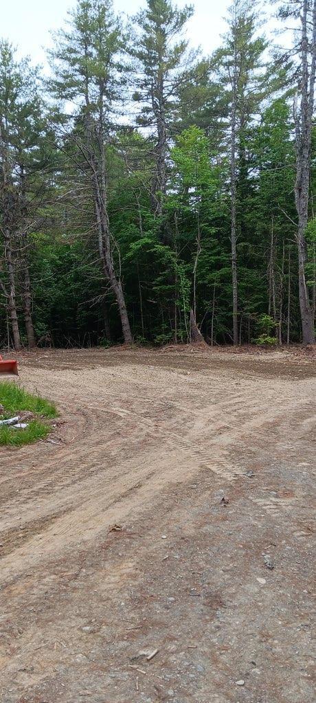 217 Frost Mill Road Mariaville, ME 04605 - Photo 26 of 32 217 Frost Mill