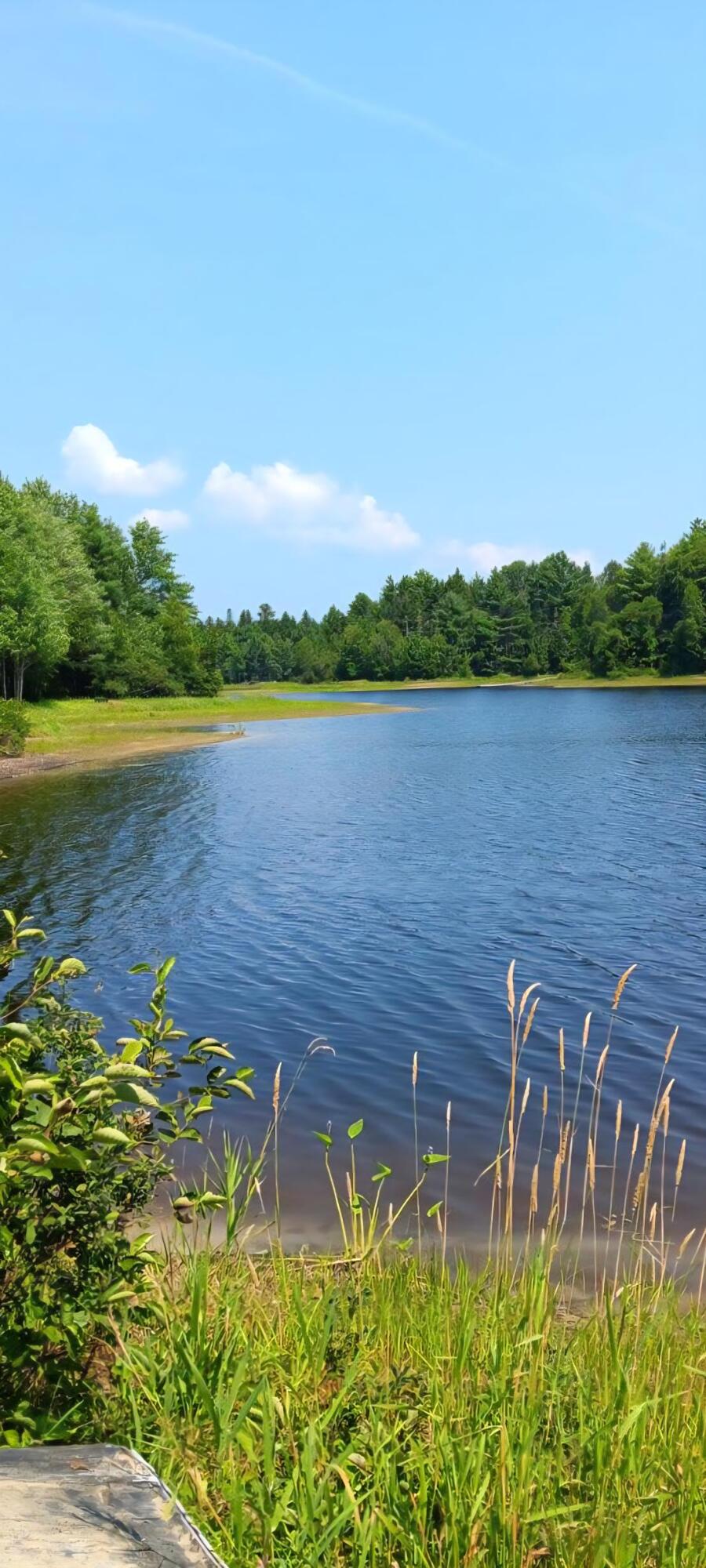 217 Frost Mill Road Mariaville, ME 04605 - Photo 27 of 32 Graham Lake