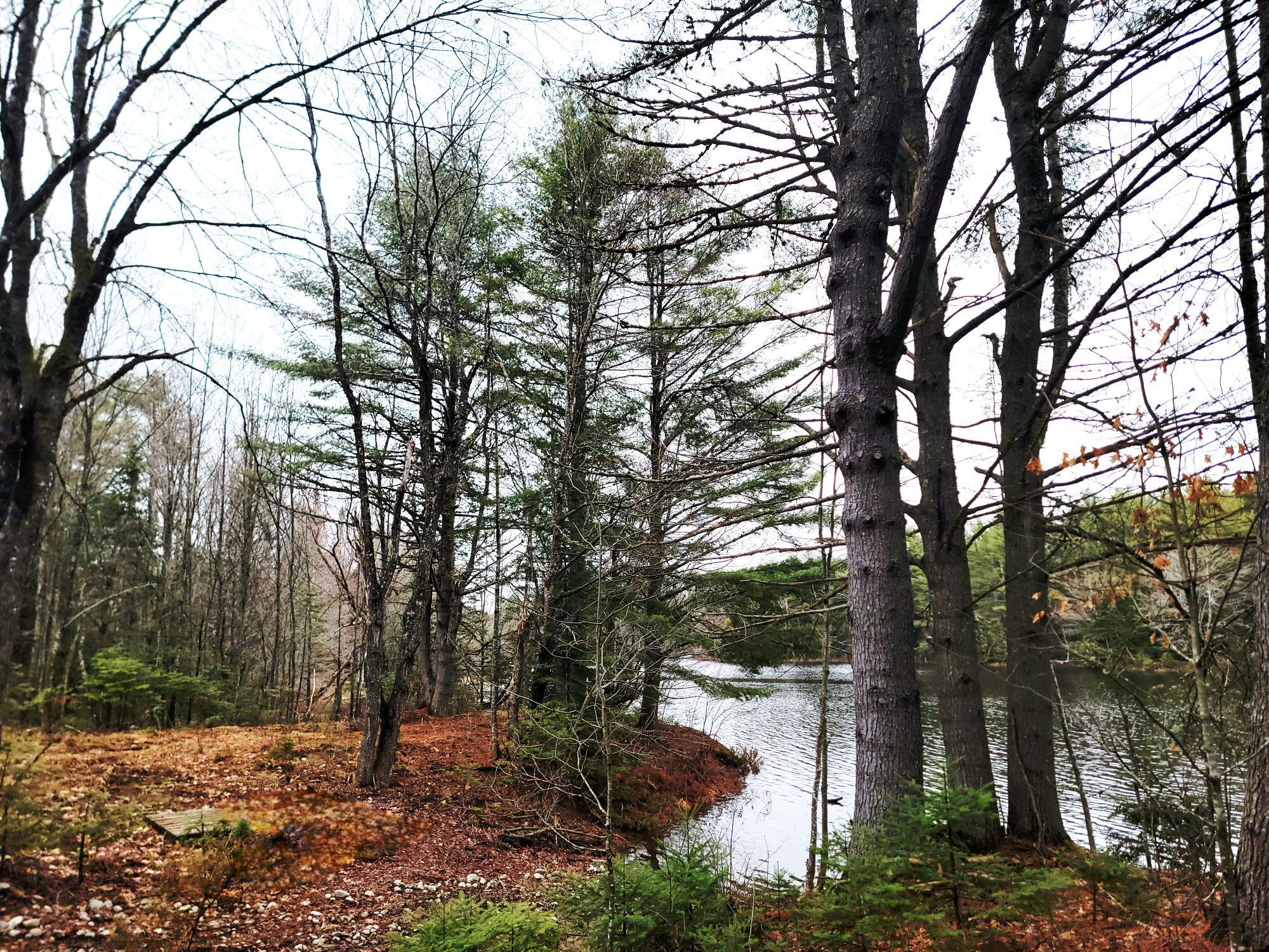 217 Frost Mill Road Mariaville, ME 04605 - Photo 3 of 32 Graham Lake