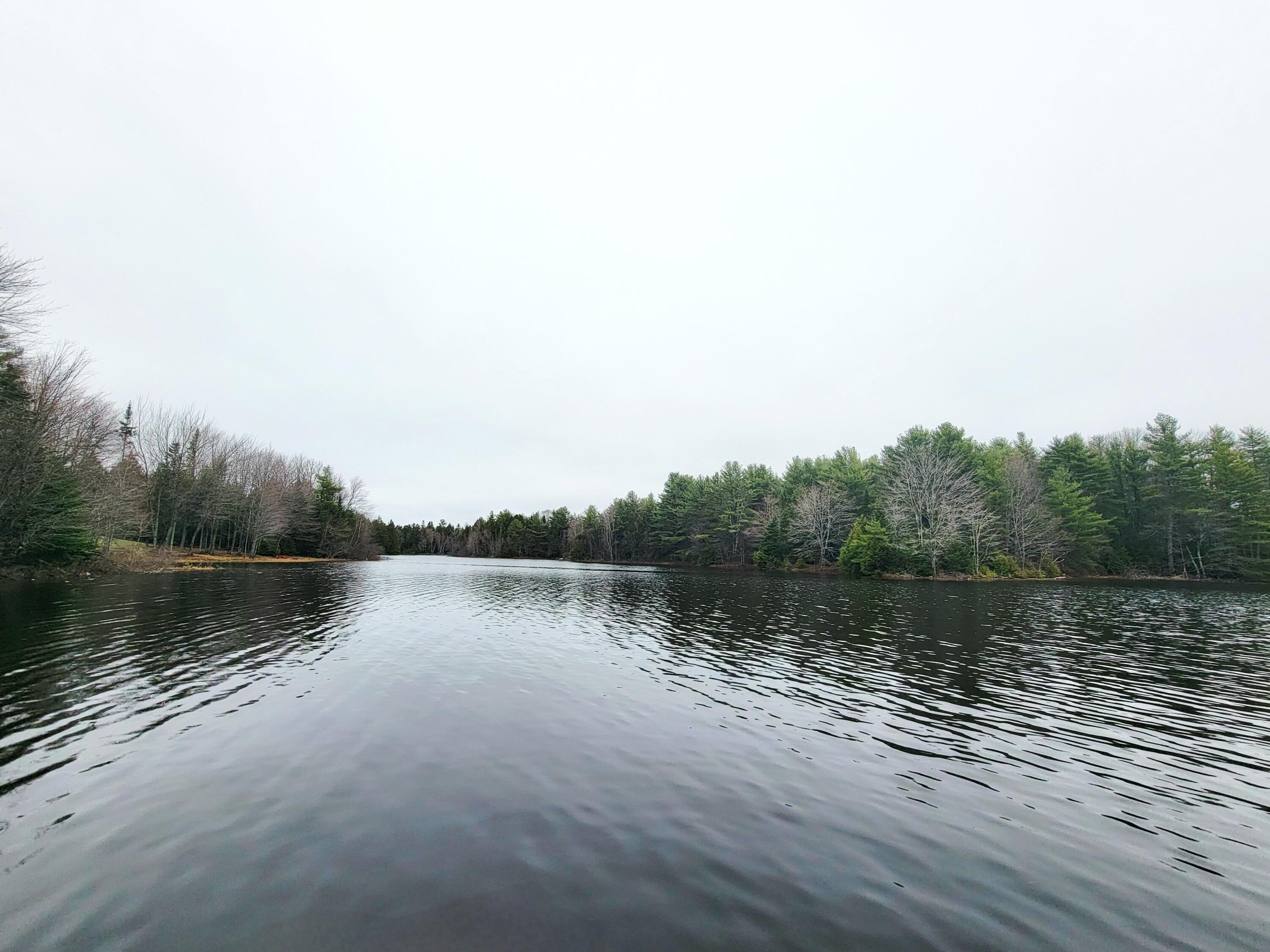 217 Frost Mill Road Mariaville, ME 04605 - Photo 4 of 32 Graham Lake