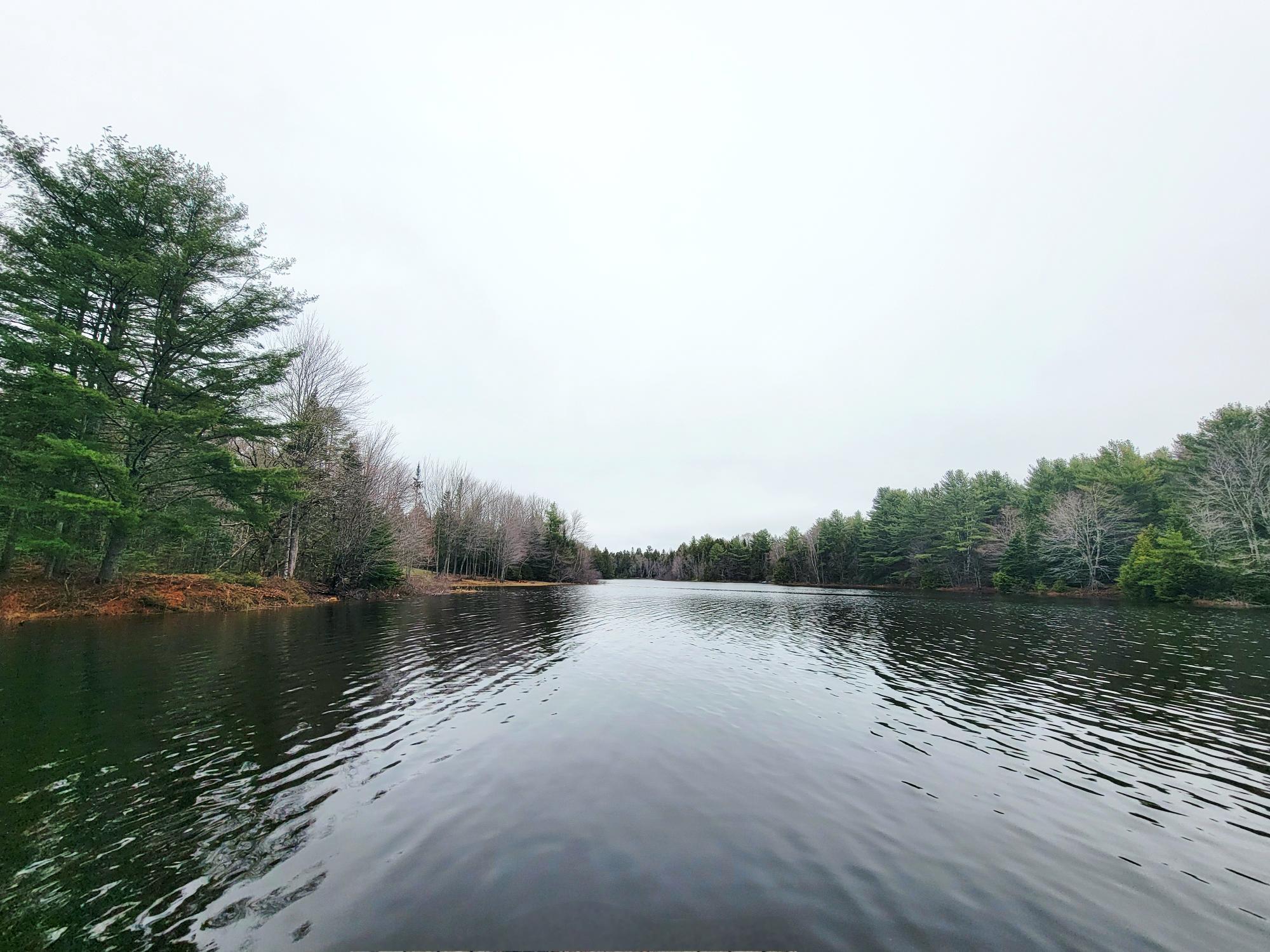 217 Frost Mill Road Mariaville, ME 04605 - Photo 5 of 32 Graham Lake