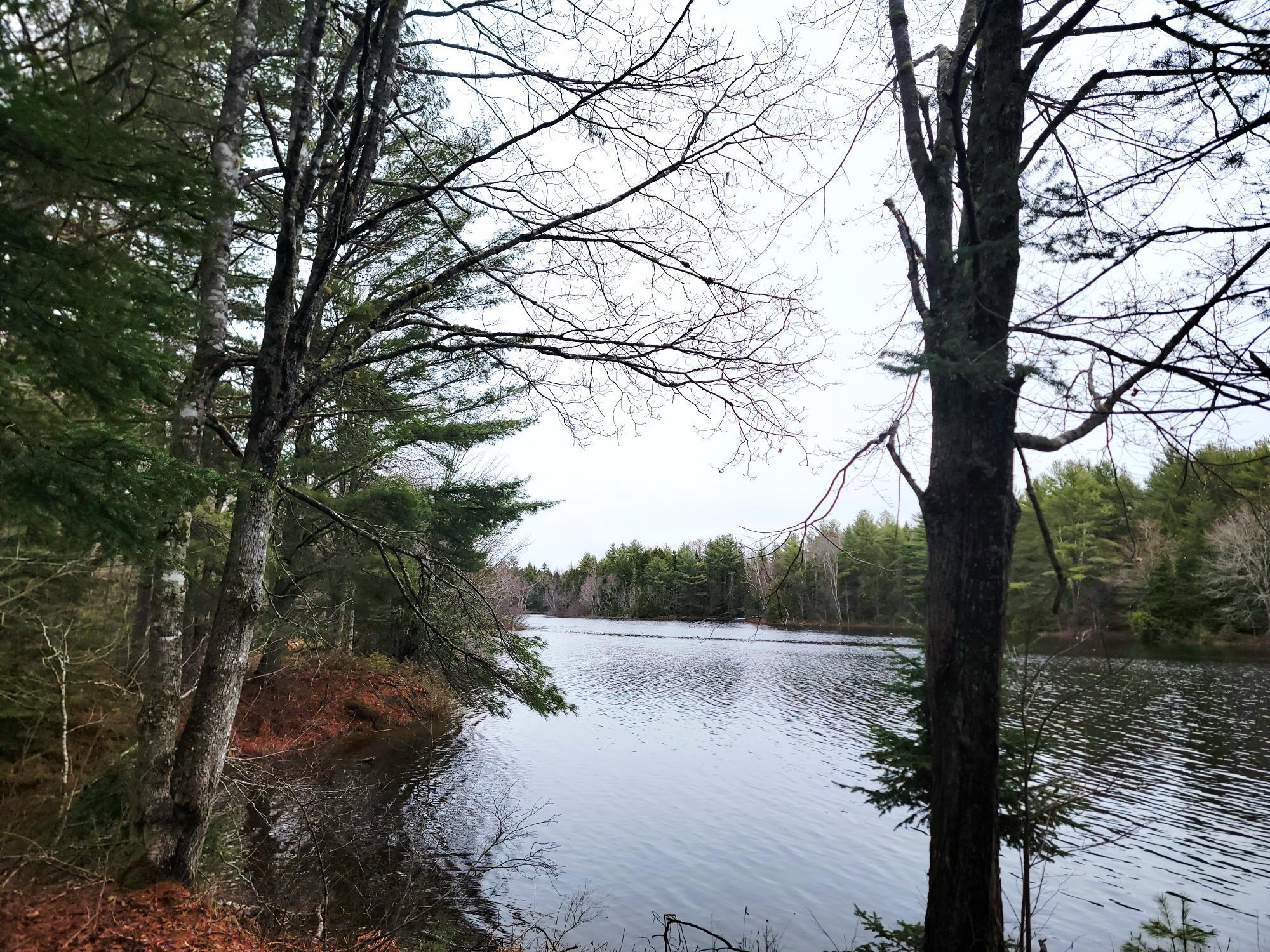 217 Frost Mill Road Mariaville, ME 04605 - Photo 8 of 32 Graham Lake