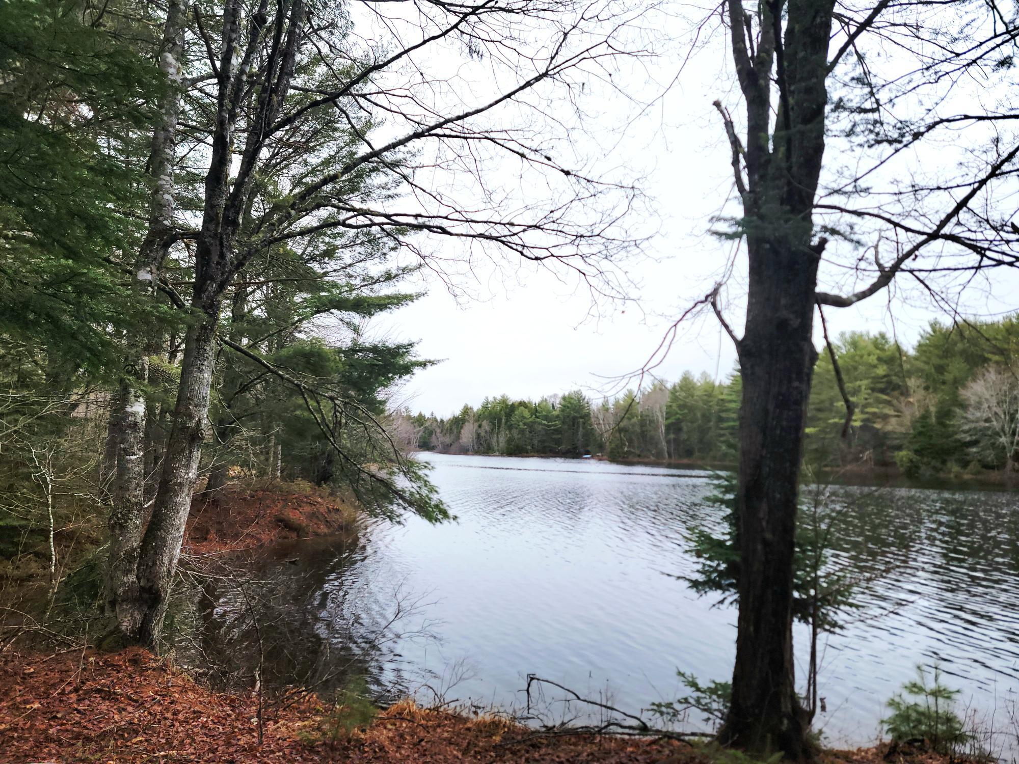 217 Frost Mill Road Mariaville, ME 04605 - Photo 9 of 32 Graham Lake