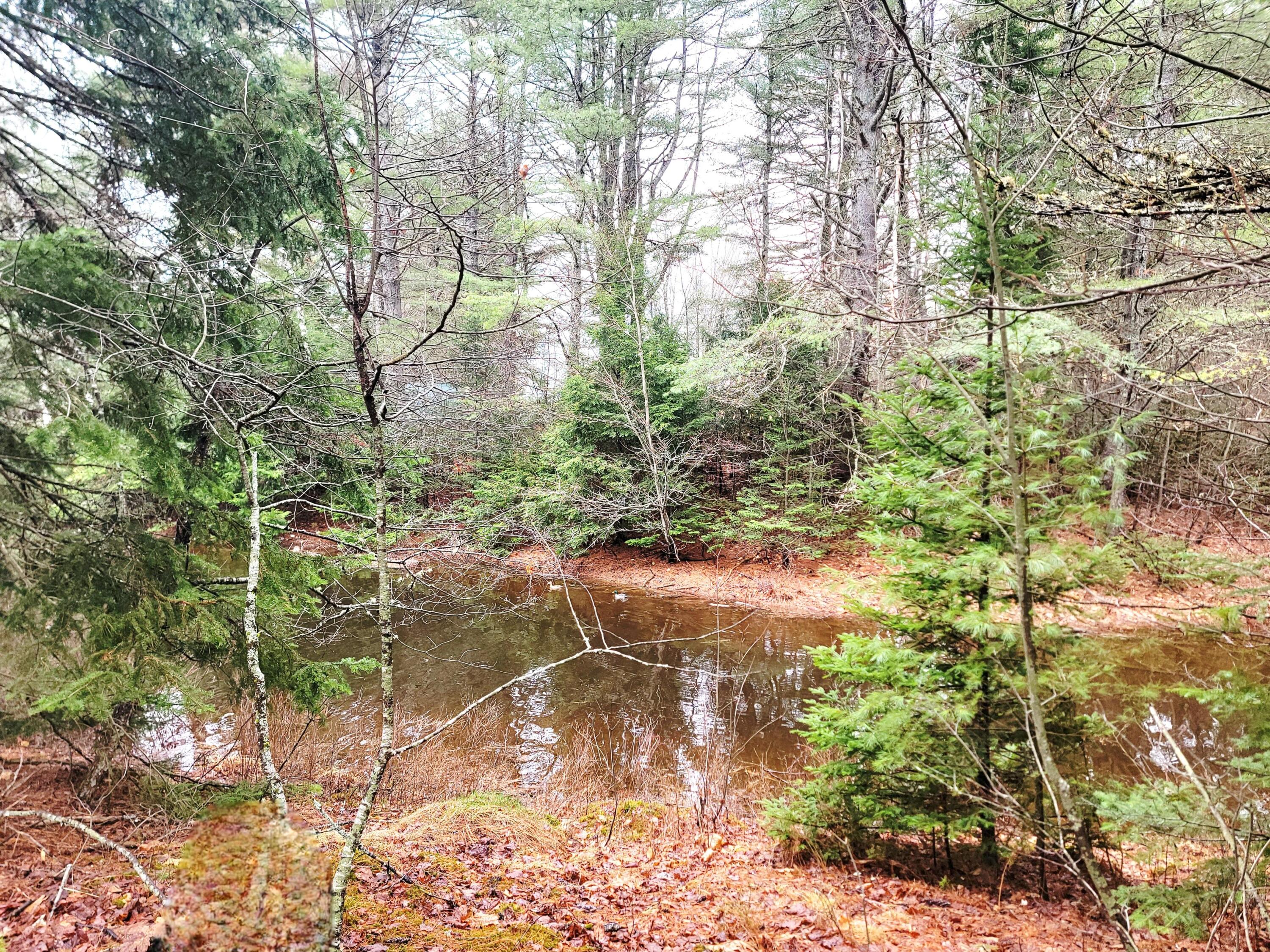 217 Frost Mill Road Mariaville, ME 04605 - Photo 10 of 32 217 Frost Mill