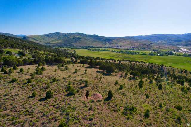 167 Lewis View, Unit LSV1 Coalville, UT 84017 - Photo 2 of 8