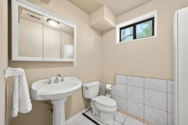 a view of a yard with plants and trees