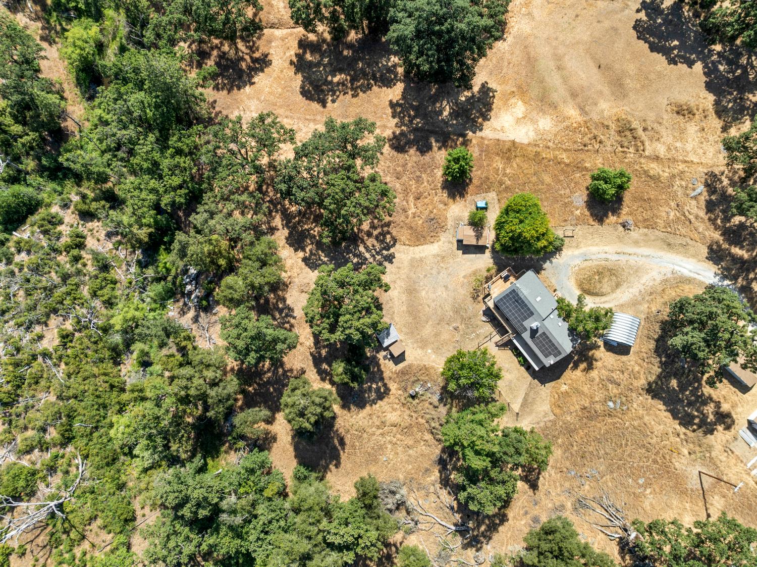 2162 Painted Pony Road Somerset, CA 95684 - Photo 66 of 72 an aerial view of residential house with outdoor space and trees all around