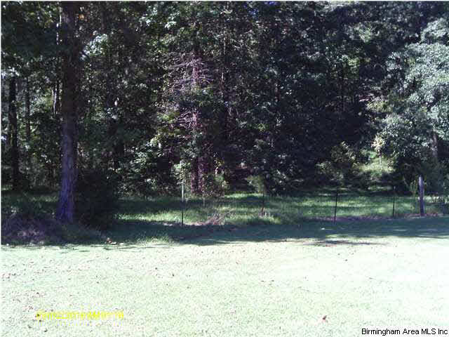 5343 Highway 16 Montevallo Al Montevallo, AL 35115 - Photo 7 of 8