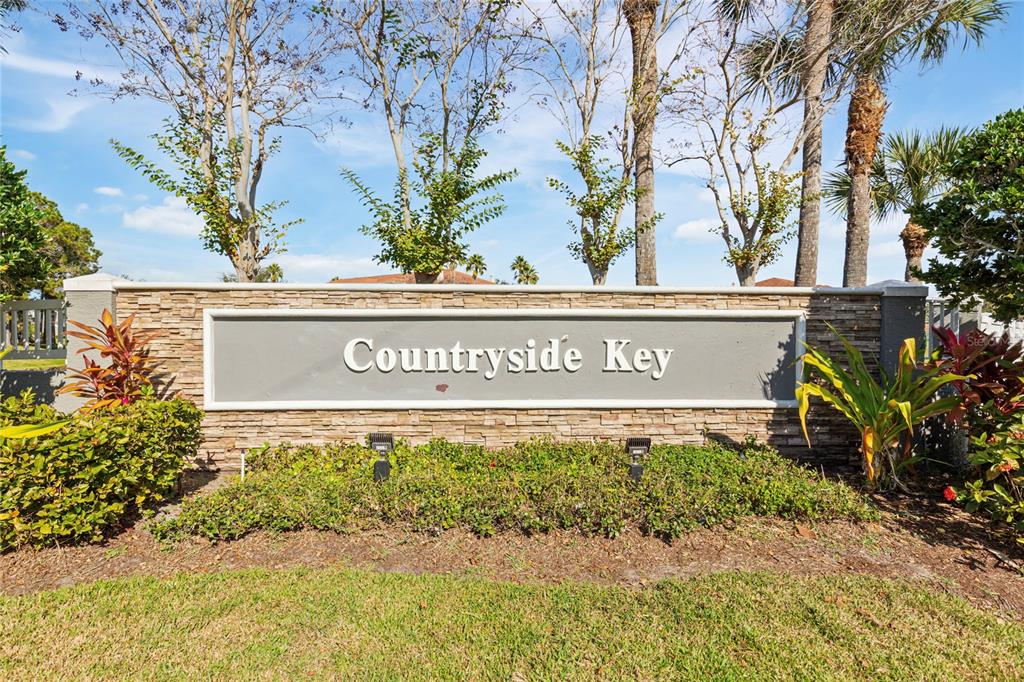 291 Countryside Key Boulevard Oldsmar, FL 34677 - Photo 34 of 34 a view of a sign under a large tree