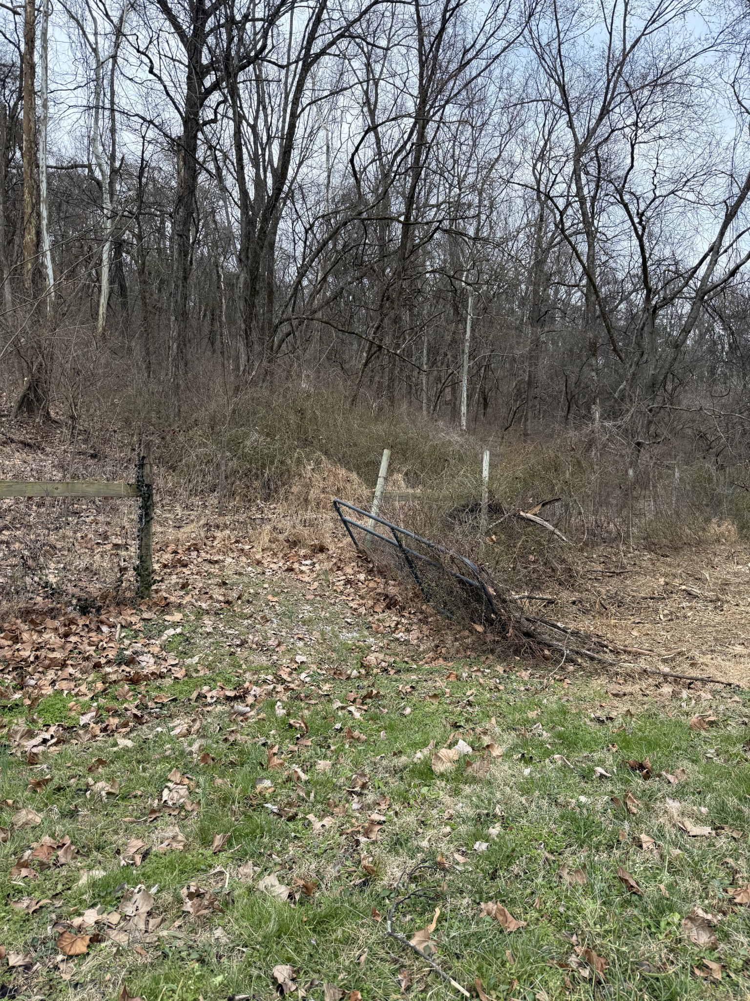 6448 Nathan Smith Road College Grove, TN 37046 - Photo 39 of 43