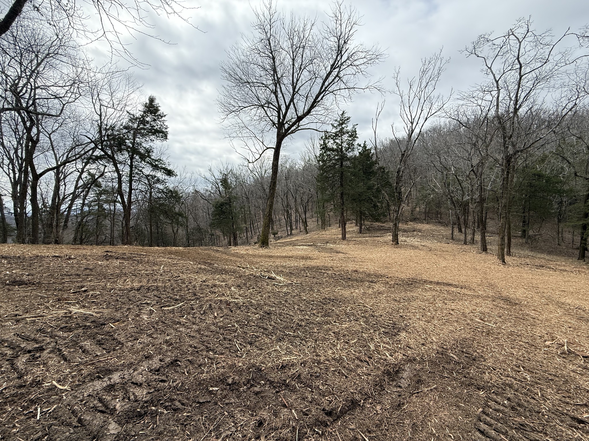 6448 Nathan Smith Road College Grove, TN 37046 - Photo 40 of 43