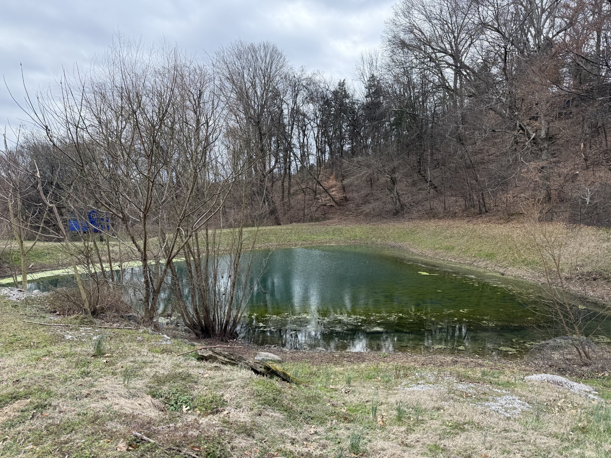 6448 Nathan Smith Road College Grove, TN 37046 - Photo 41 of 43