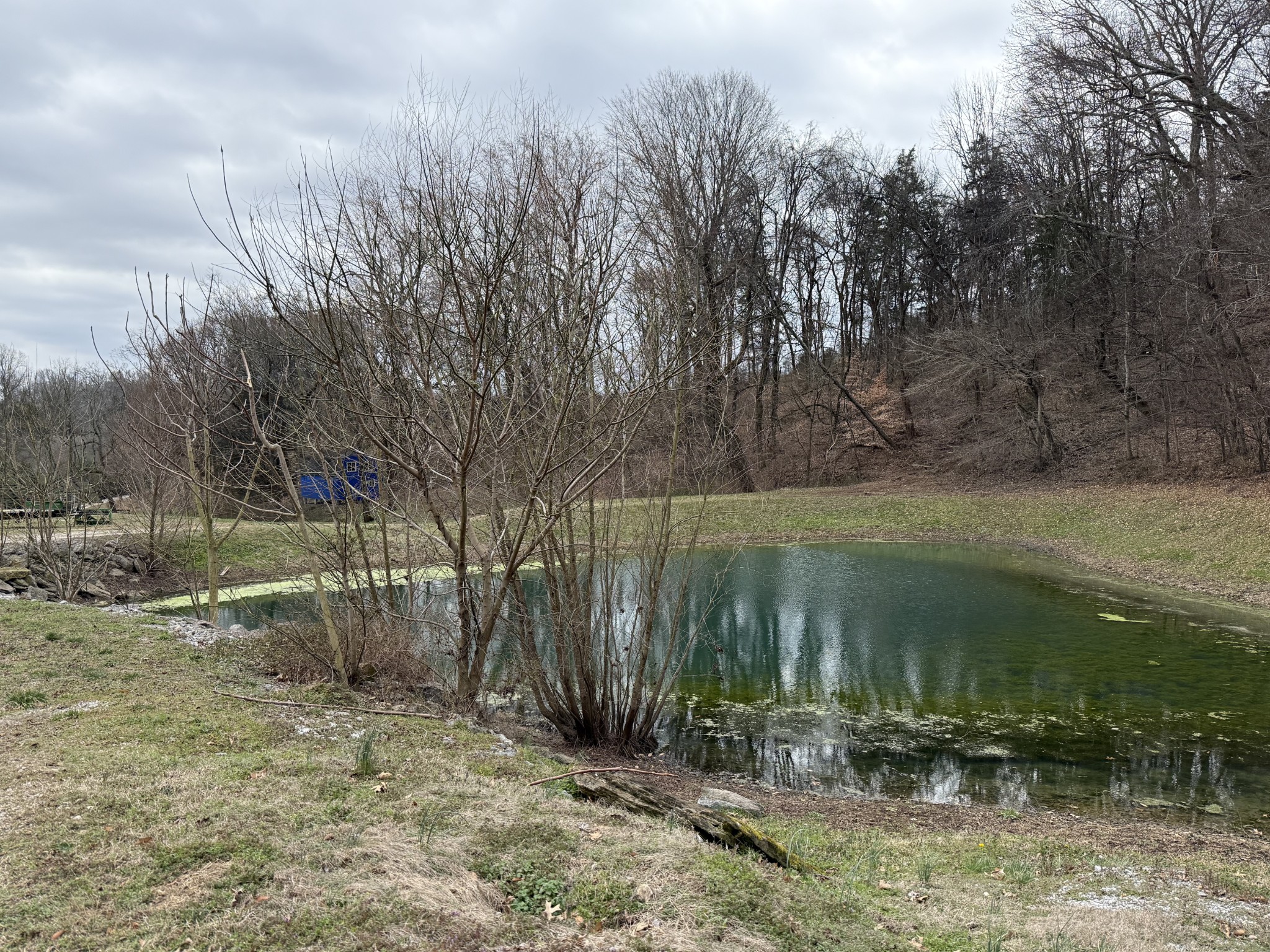 6448 Nathan Smith Road College Grove, TN 37046 - Photo 42 of 43