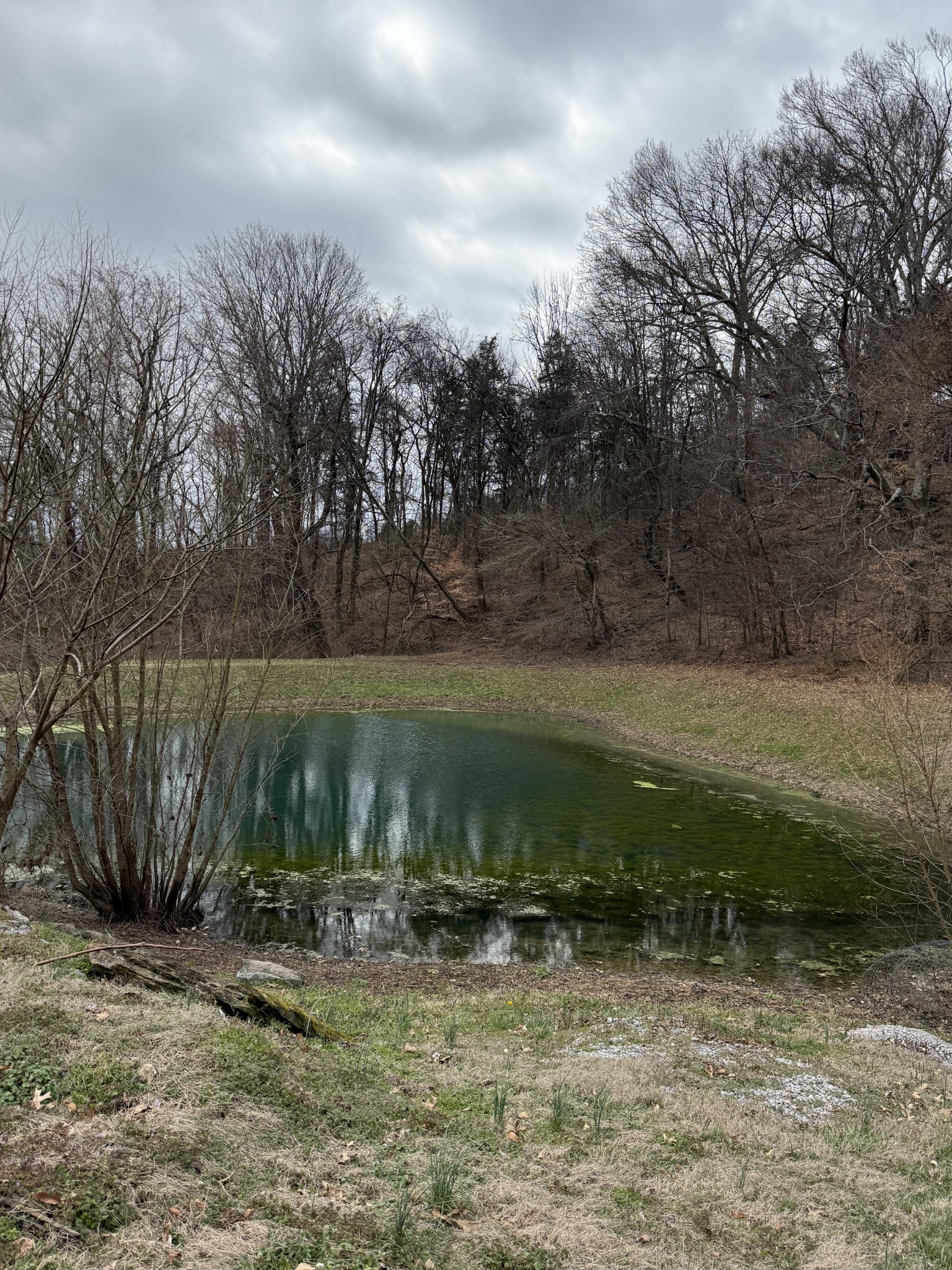 6448 Nathan Smith Road College Grove, TN 37046 - Photo 43 of 43
