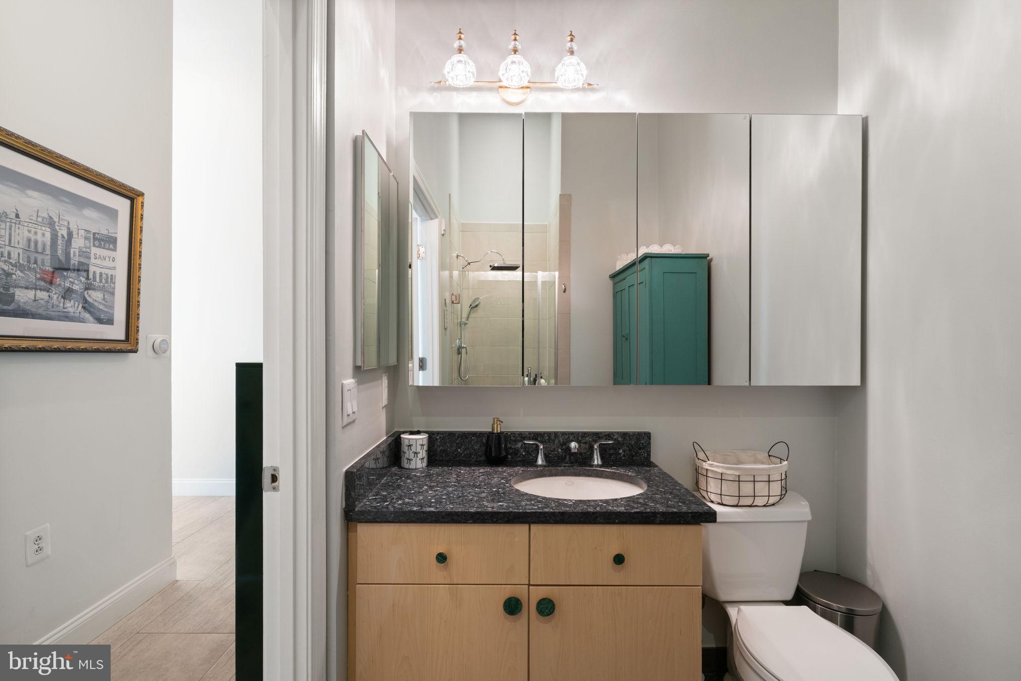 11990 Market Street, Unit 101 Reston, VA 20190 - Photo 38 of 44 Bathroom 2