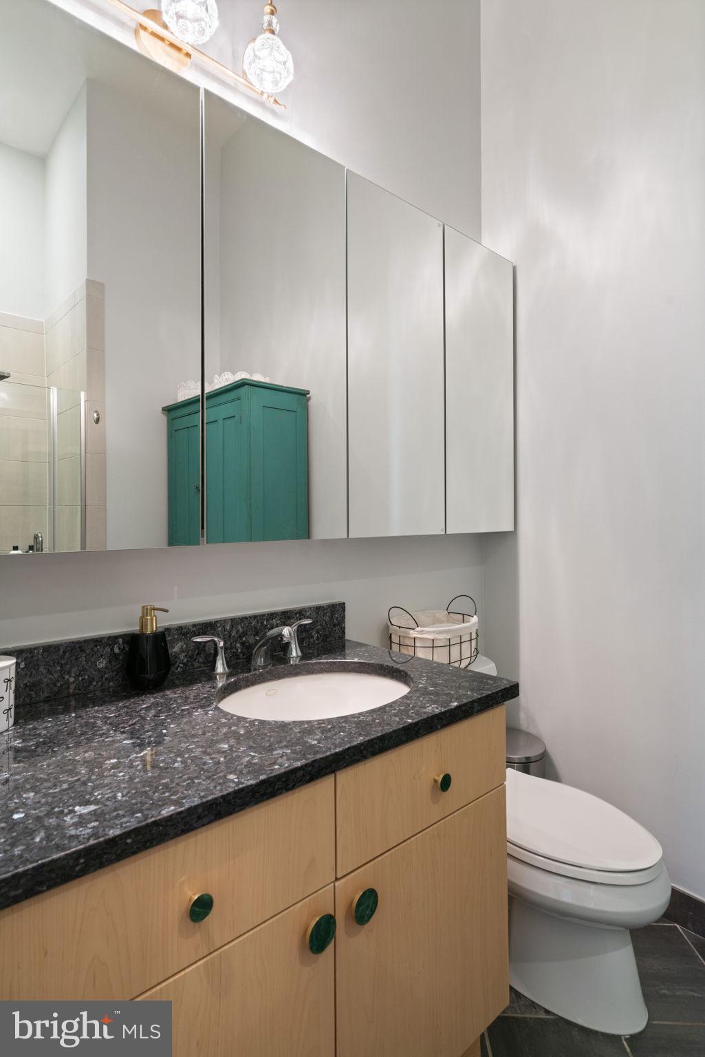 11990 Market Street, Unit 101 Reston, VA 20190 - Photo 39 of 44 Bathroom 2