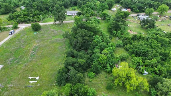 a view of a green yard with large trees