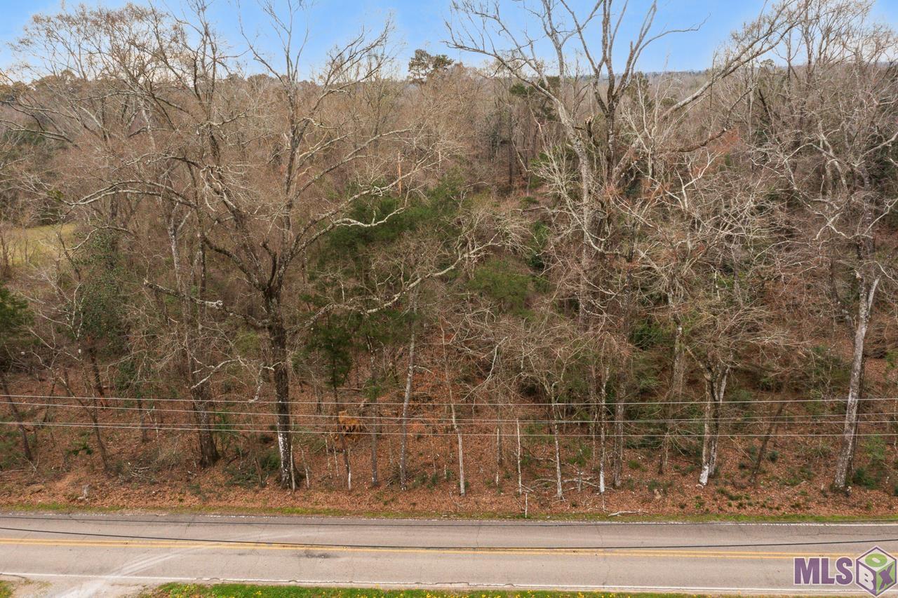 Tbd Frenchtown Road Greenwell Springs, LA 70739 - Photo 11 of 11