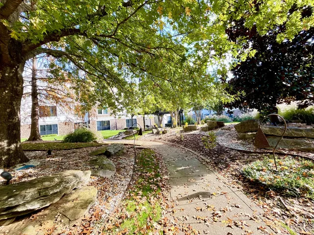 a view of a yard with a tree