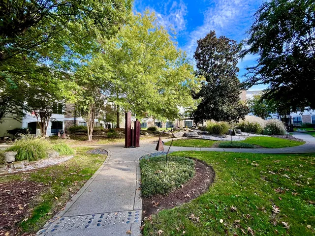 a view of a park with plants and trees